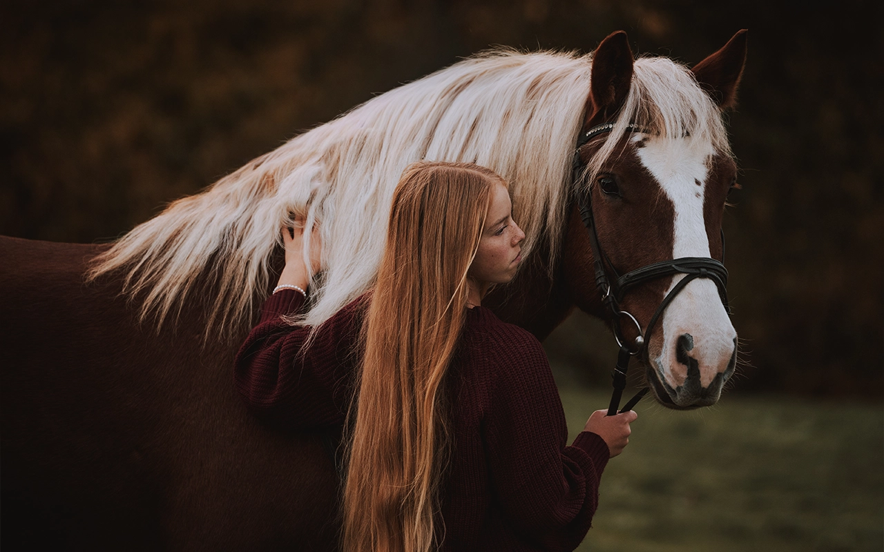 A_V 1280x800