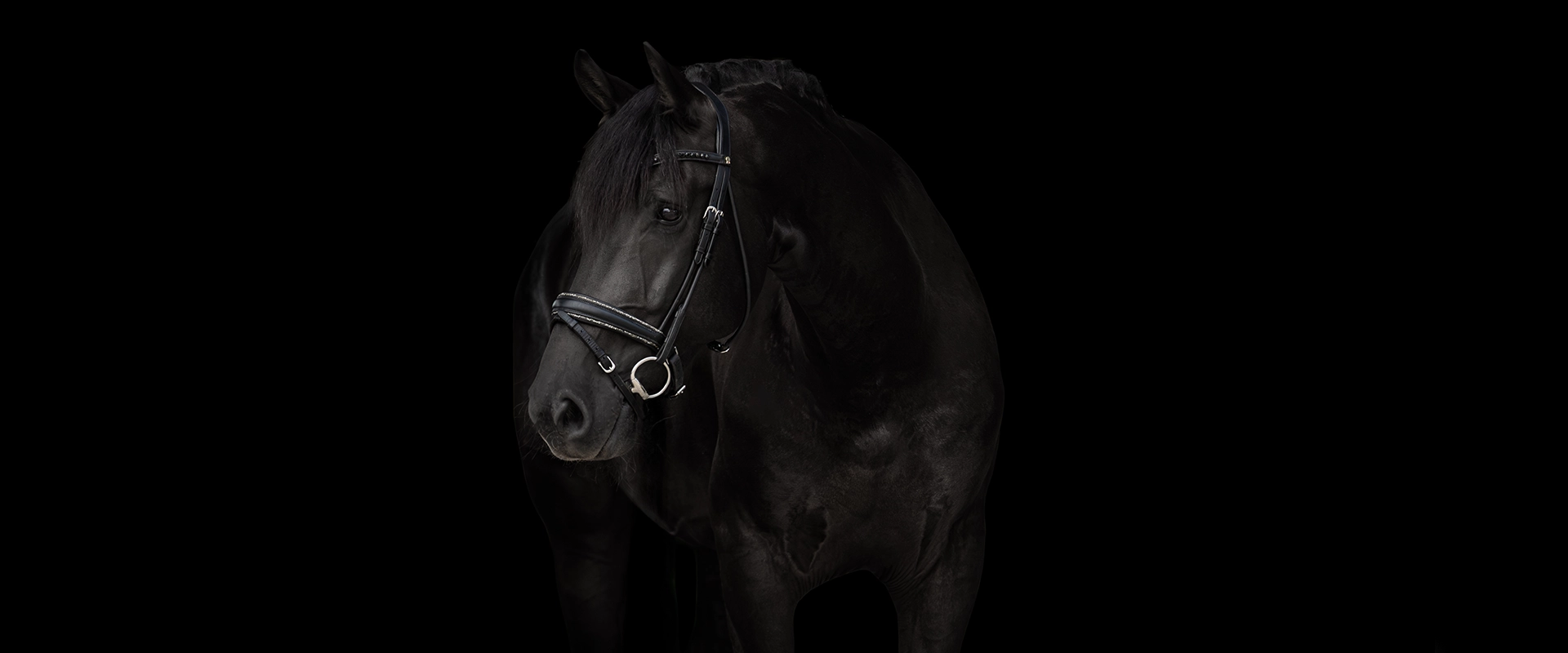 D_black 1920x800