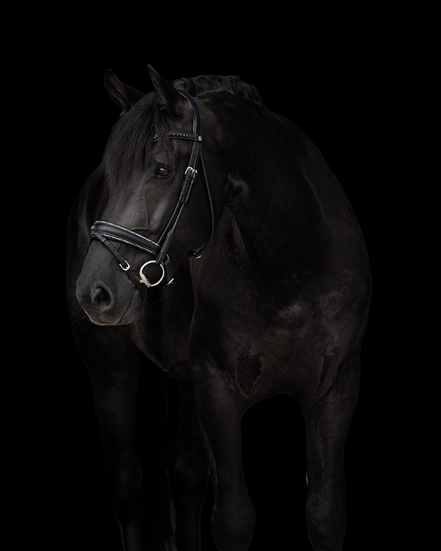 D_black portfolio mobil