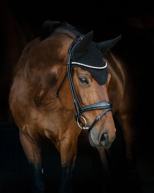 L_black 640x800