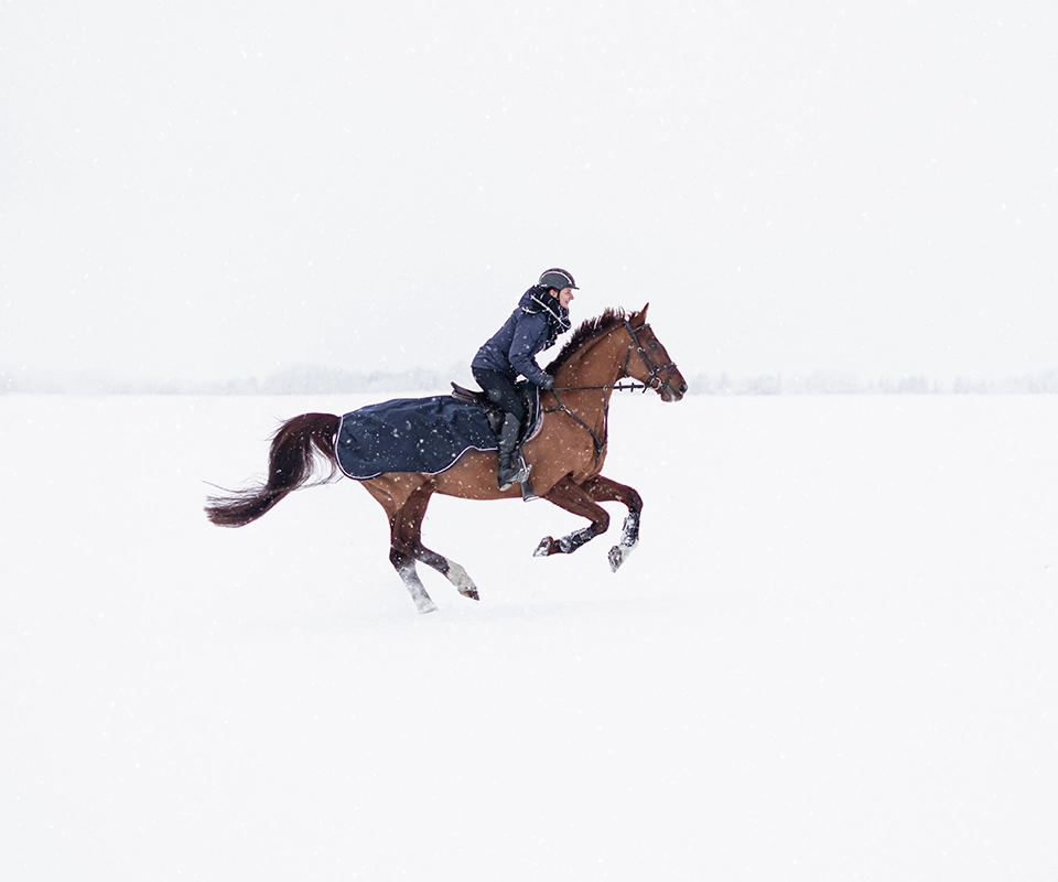 Schnee galopp