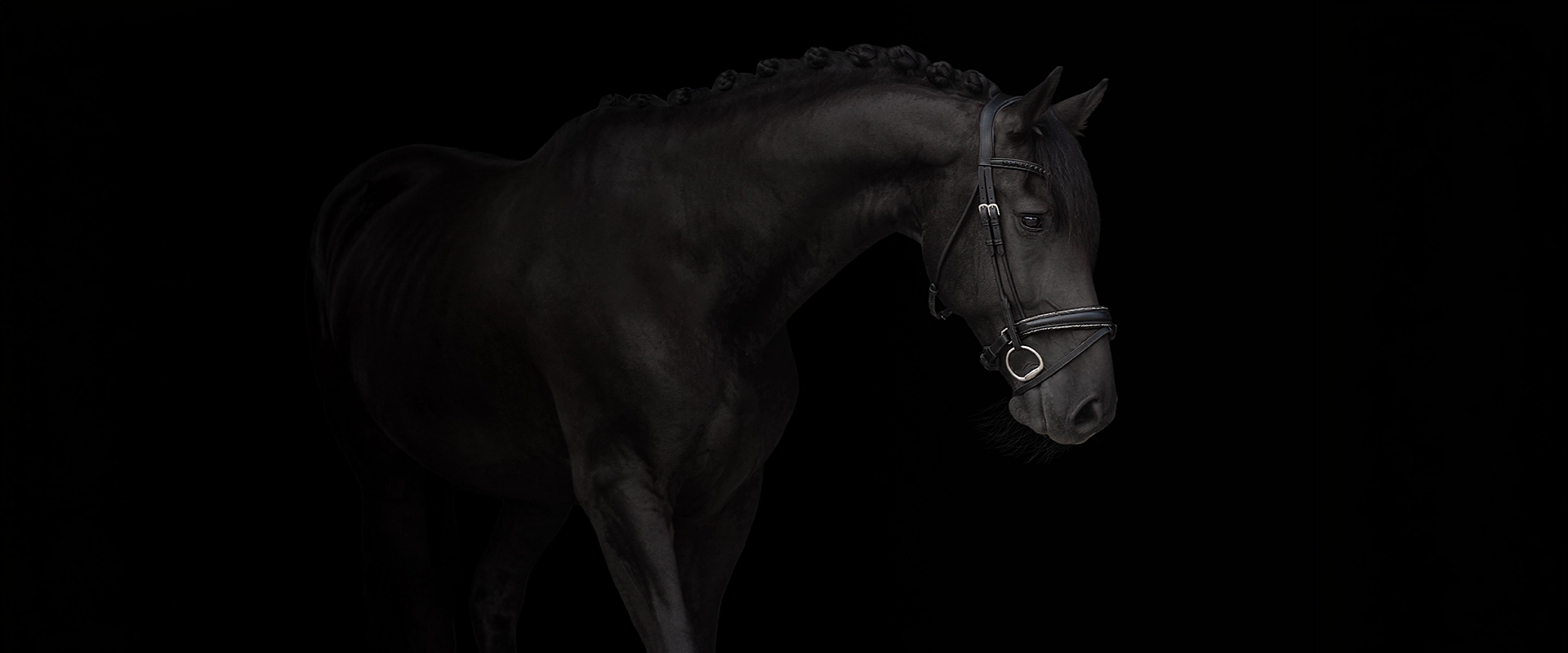 dariusz 1920x800